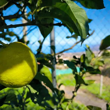 La Chavera * Realejo Alto